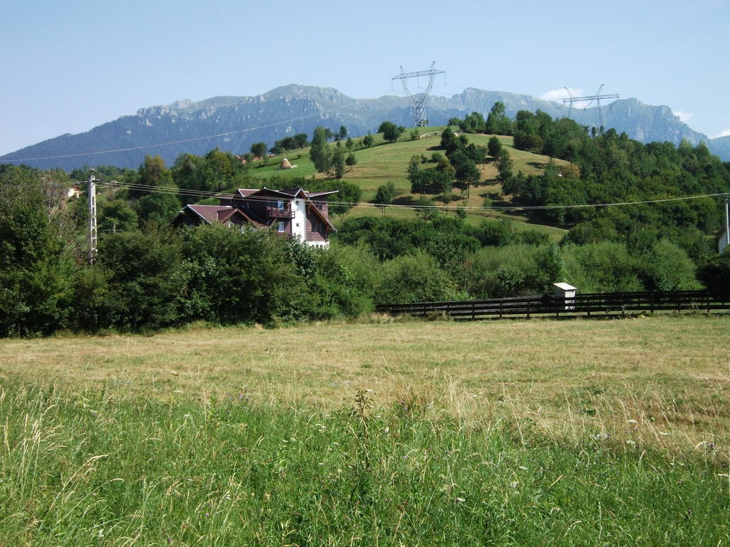 Pensiunea Mir Бран Екстер'єр фото